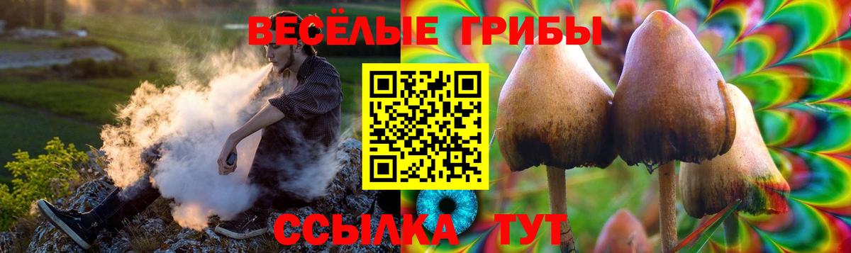 Псилоцибиновые грибы прущие грибы Фурманов